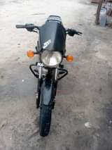 A picture of Boxer bm cc 150