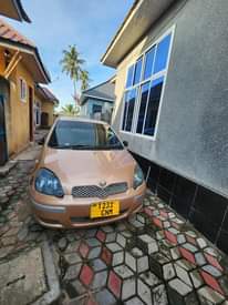 A picture of Vitz