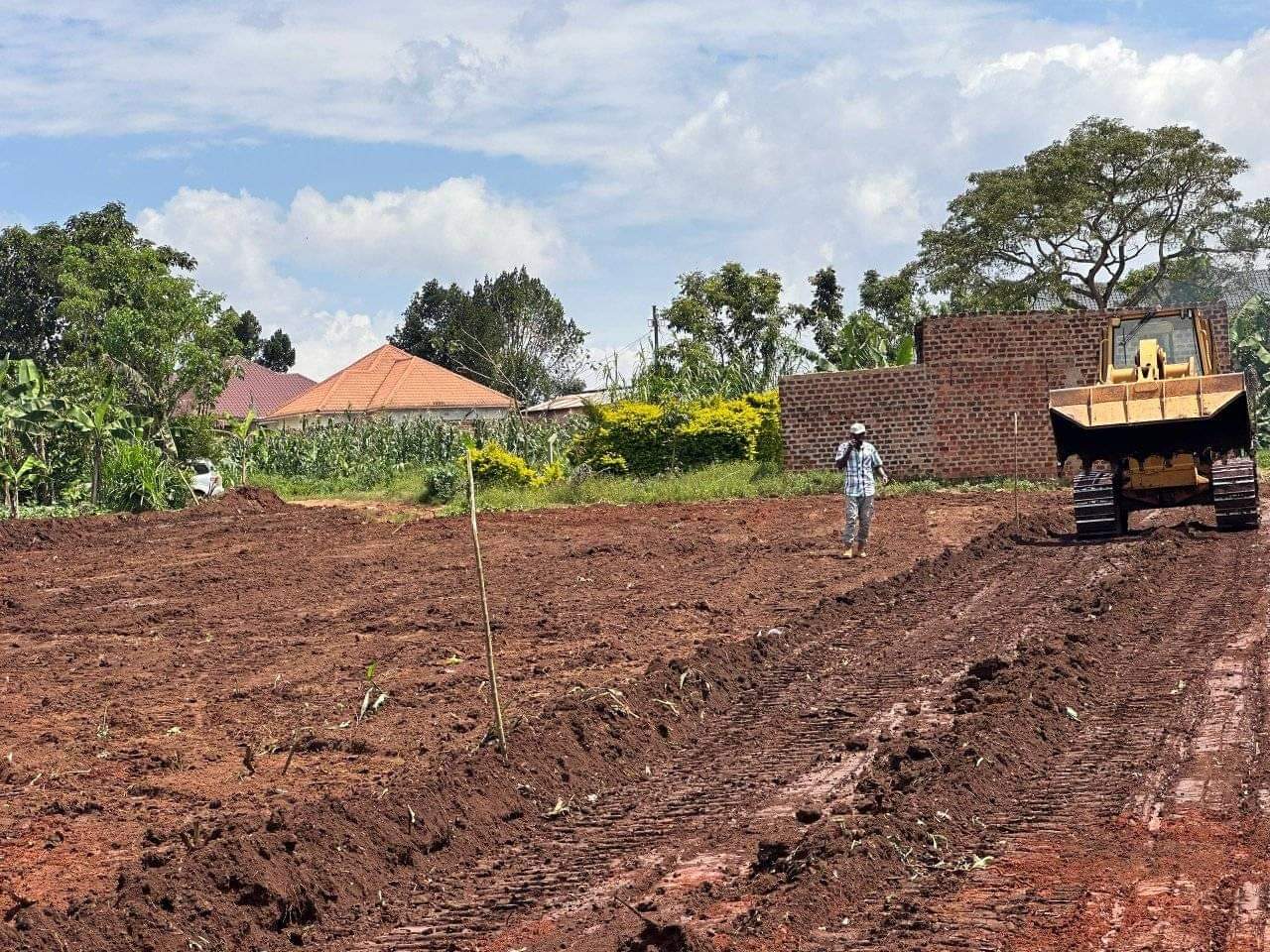 A picture of KAKIRI DAMBWE ESTATE