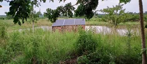 A picture of 100 Acres At 1bn ugx Luwero Kikyusa Full of Mango