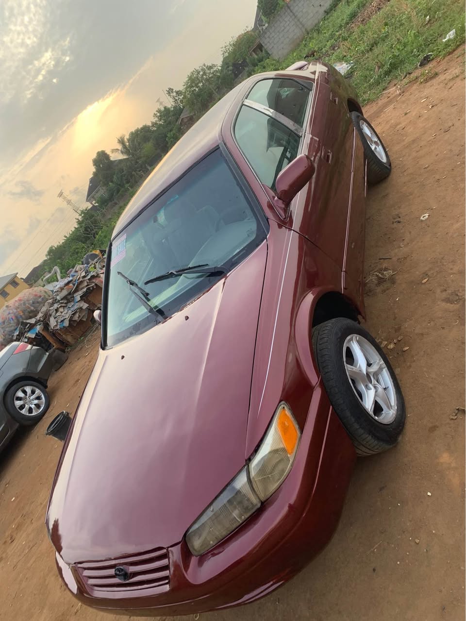 A picture of Camry Tiny light