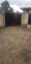 A picture of Sakina sailent