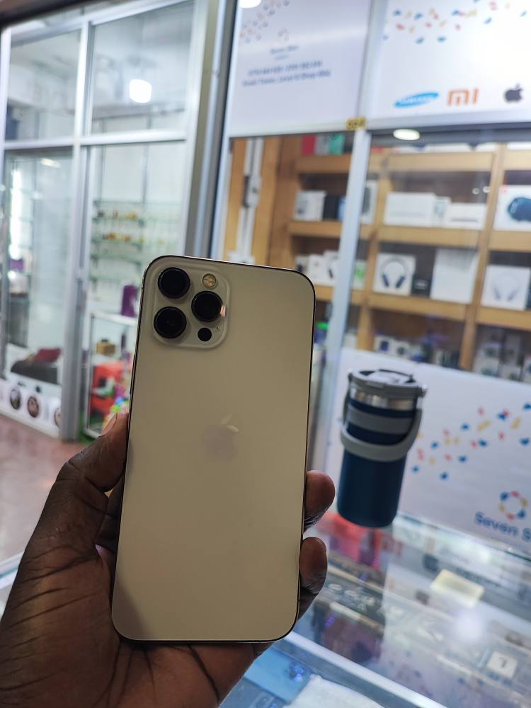 A picture of IPHONE 12 PRO MAX