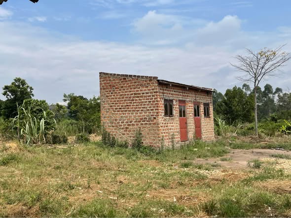 Kiggundu J.
