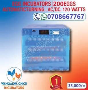 A picture of EGG INCUBATOR