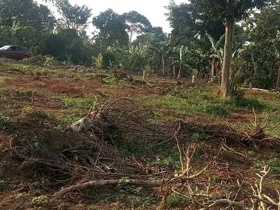 A picture of Land