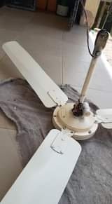A picture of Kiboko ya joto