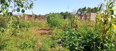 A picture of PLOT 50 100ft WITH READYTITLE FOR 7MILLION located matugga Kavule