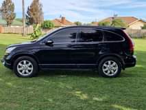 used honda crv