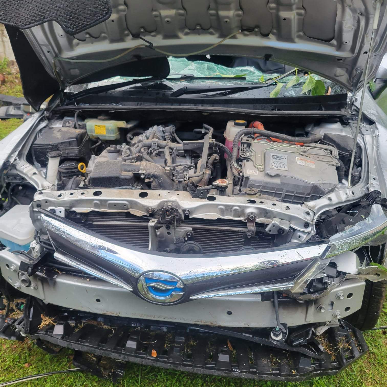 cars