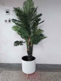 A picture of Artificial plants and flowers