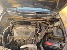 A picture of 2008 Honda Accord Se