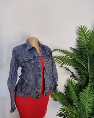 A picture of Koti za jeans