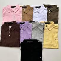 A picture of Great Quality T Shirts