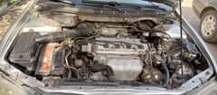 A picture of Honda Accord baby boy