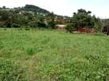 A picture of Plots for sale at Kitende Buswa u branch off frm