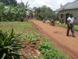 A picture of A plot for sale at Nansana Kawoko