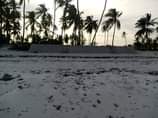 A picture of Matemwe beach