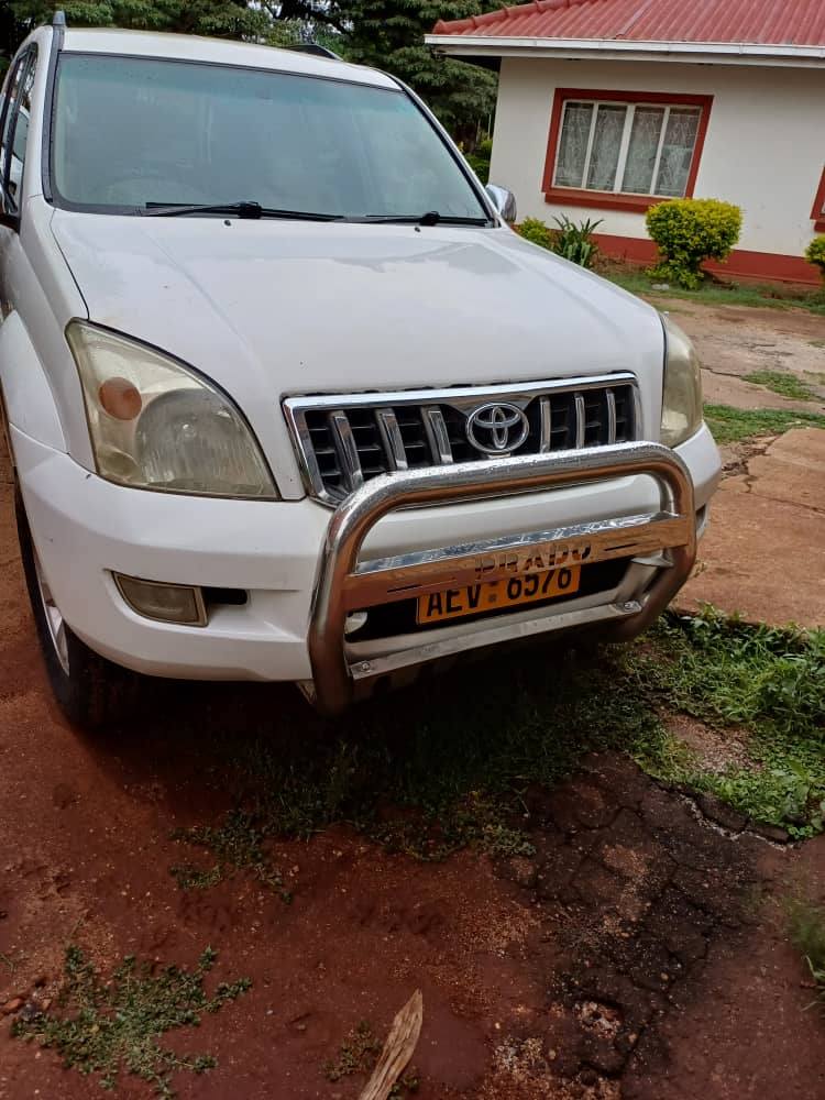 used toyota prado