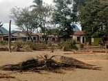 A picture of INAUZWA PG 0784255451