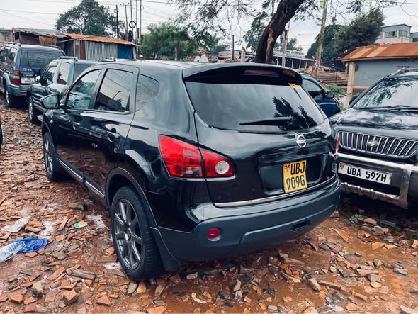 A picture of Nissan dualis