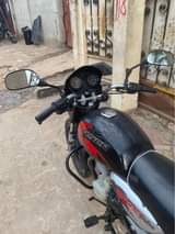 A picture of Nauza Piki Piki