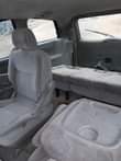 A picture of Sienna 06
