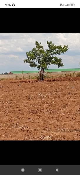 land
