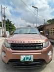 A picture of RangRover Evogue 2013