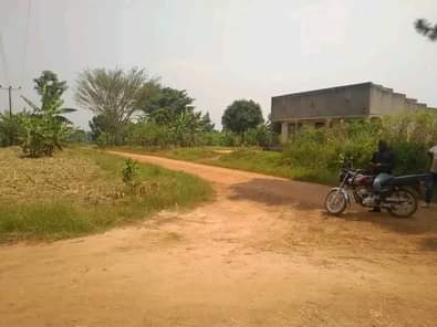 A picture of MATUGGA KITANDA KILYAMULI PLOT FOR SALE 0703900684 20 by 30