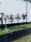 A picture of NAUZ FENI USED 0786494436