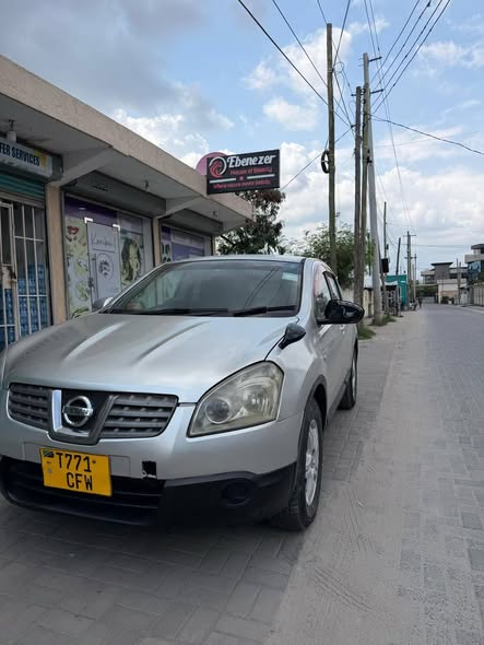 A picture of Nissan Dualis