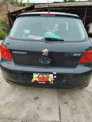 A picture of 2007 Peugeot 307 307 Sedan 4 cylinders