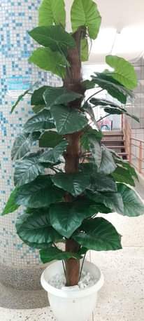 A picture of Artificial plants and flowers