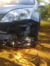 Dominic G.