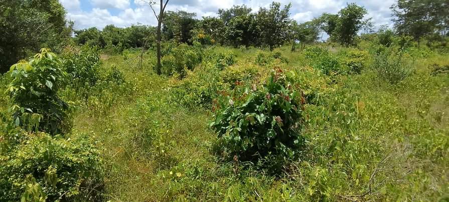 A picture of ZIMEBAKI HEKA 15 SHAMBA LIPO MZENGA WILAYA YA KISARAWE MKOA