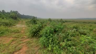 A picture of 50 100 plot in kasanje bunjo at only 8.500.000