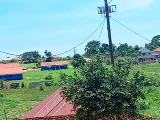 A picture of Cheap plots