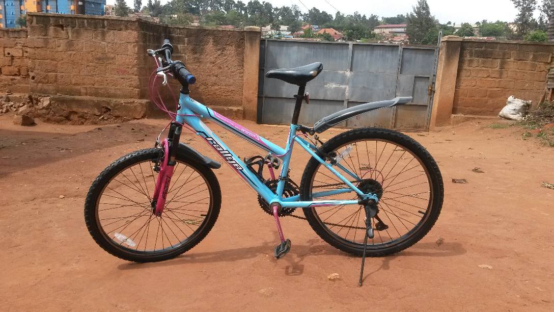 bikes