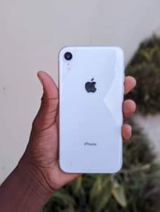 A picture of Iphone XR