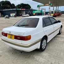 A picture of Contact 255657302082 Price 5 7m