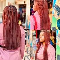 A picture of Soft artificial extensions dreadlocks