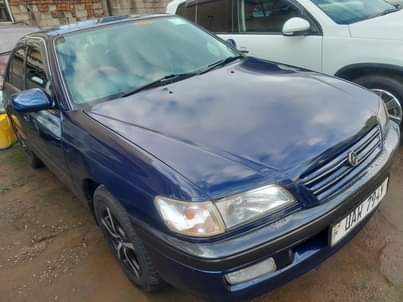 A picture of Toyota premio