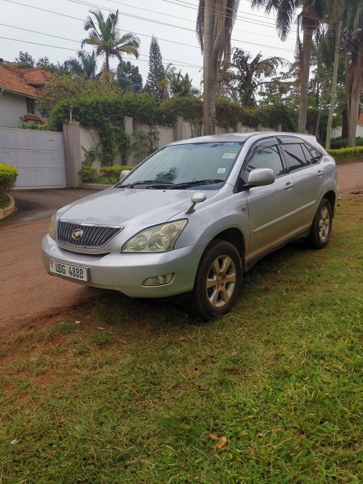 A picture of Harrier kawundo for sale