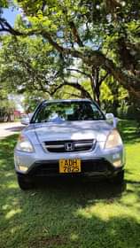 used honda crv