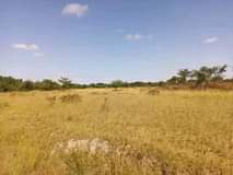 mwembeshi
