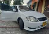 A picture of COROLLA