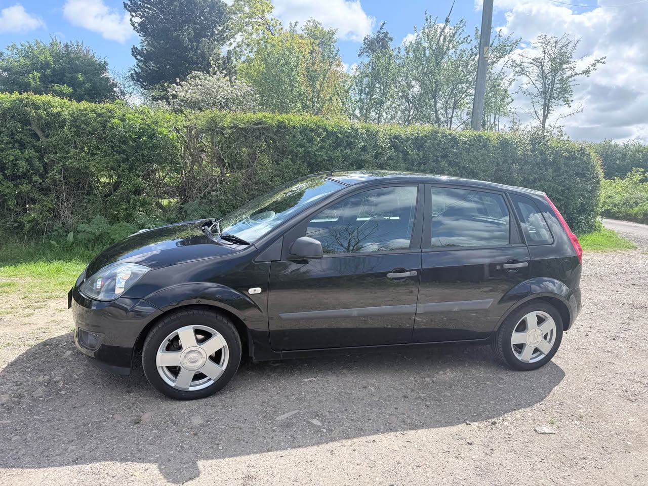 ford zetec