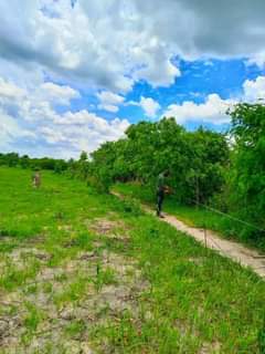 mwembeshi