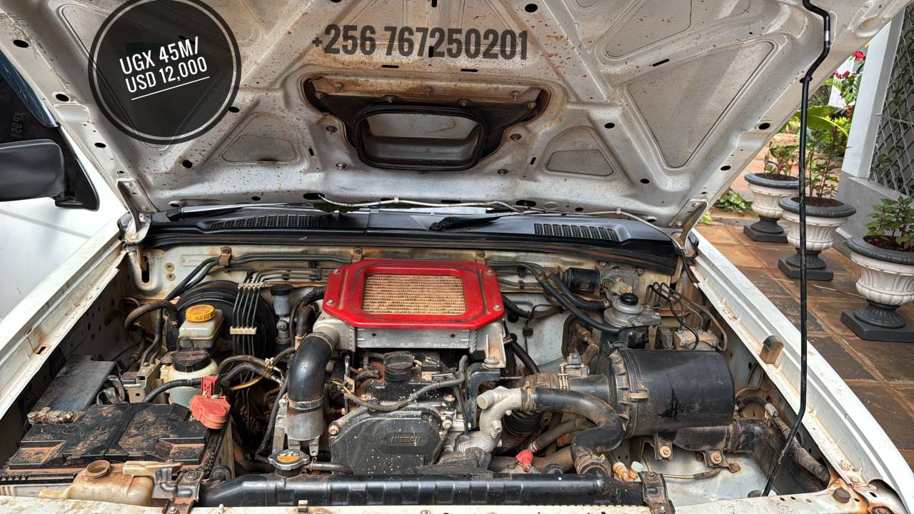 A picture of Nissan Frontier D22